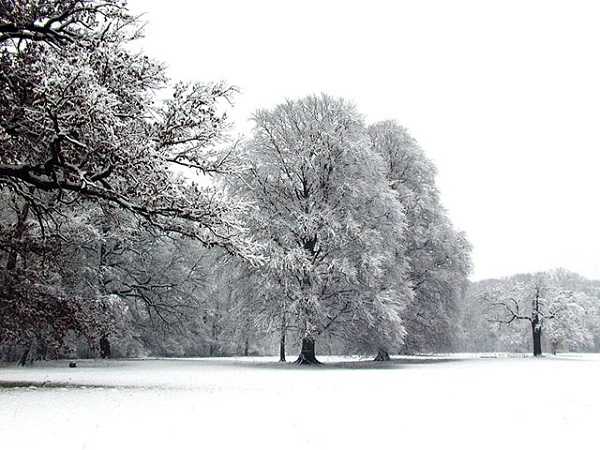 Winter in Neuhardenberg